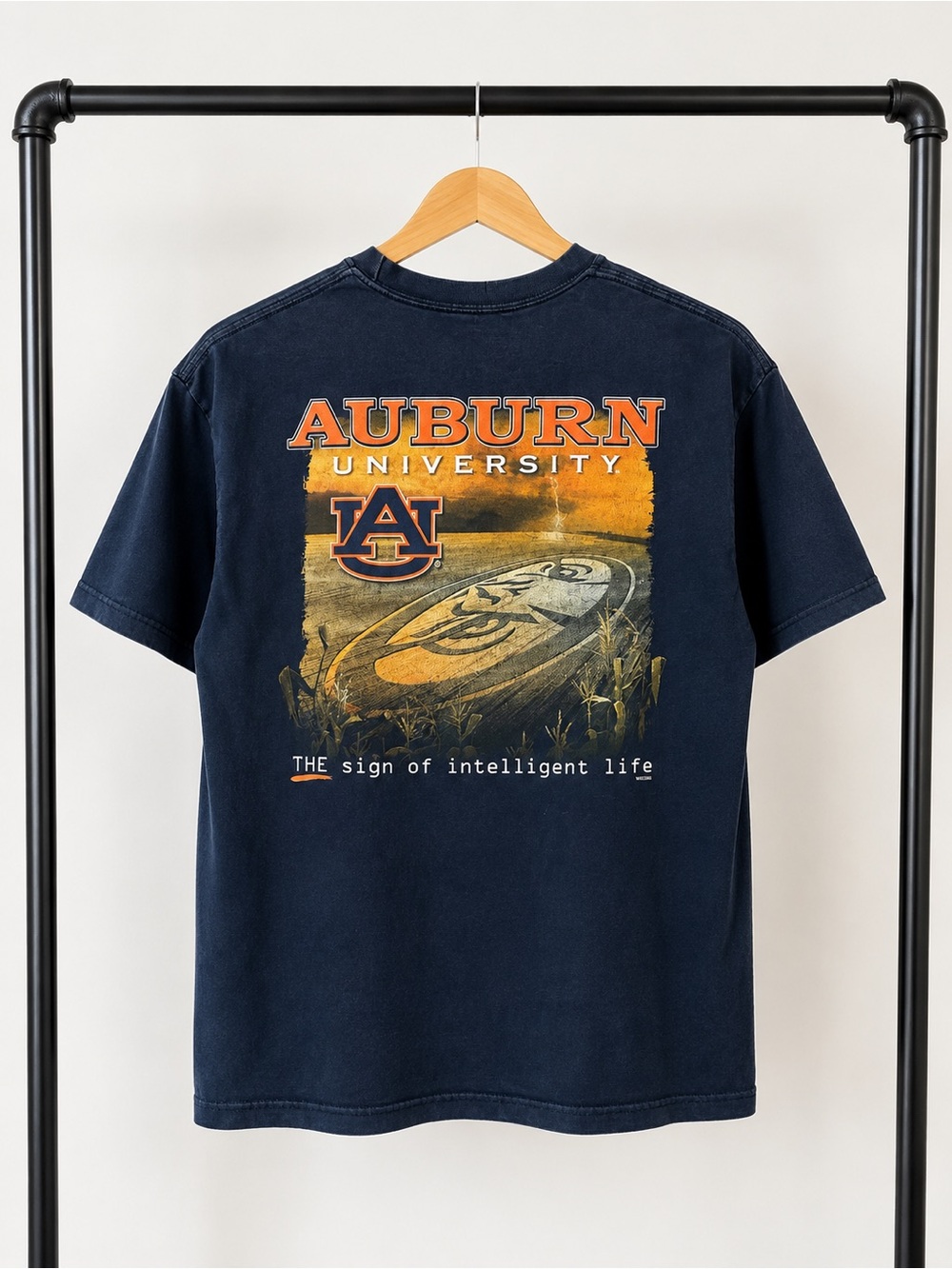 Auburn University Y2K Alstyle Graphic Tee L